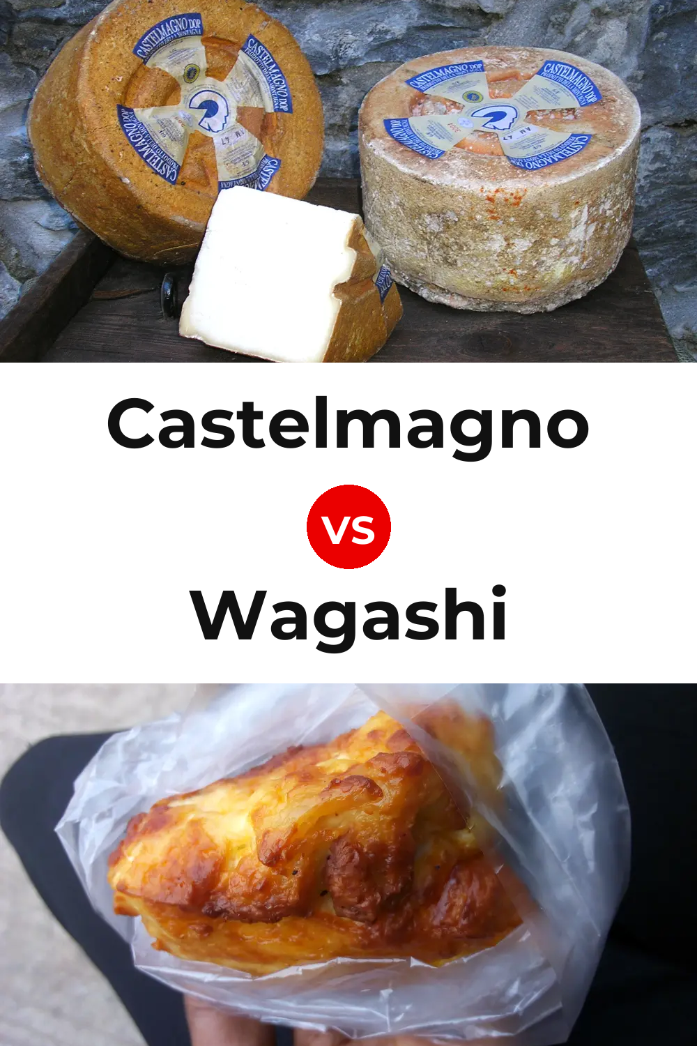 Castelmagno Cheese vs Wagashi Cheese Pinterest comparison