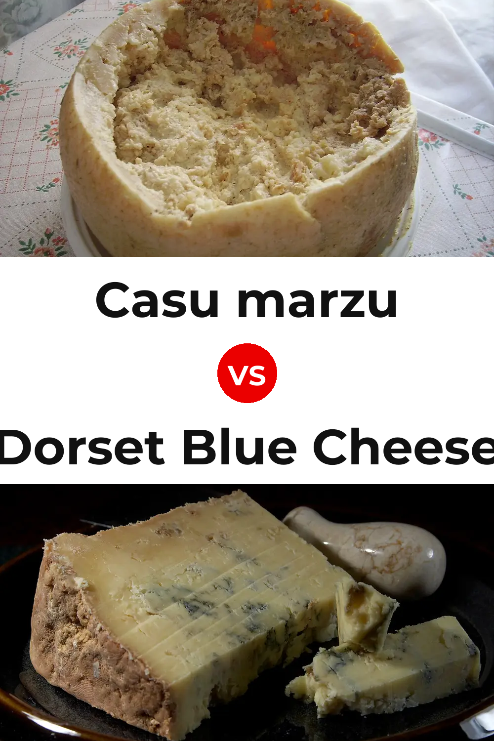 Casu marzu Cheese vs Dorset Blue Cheese Pinterest comparison