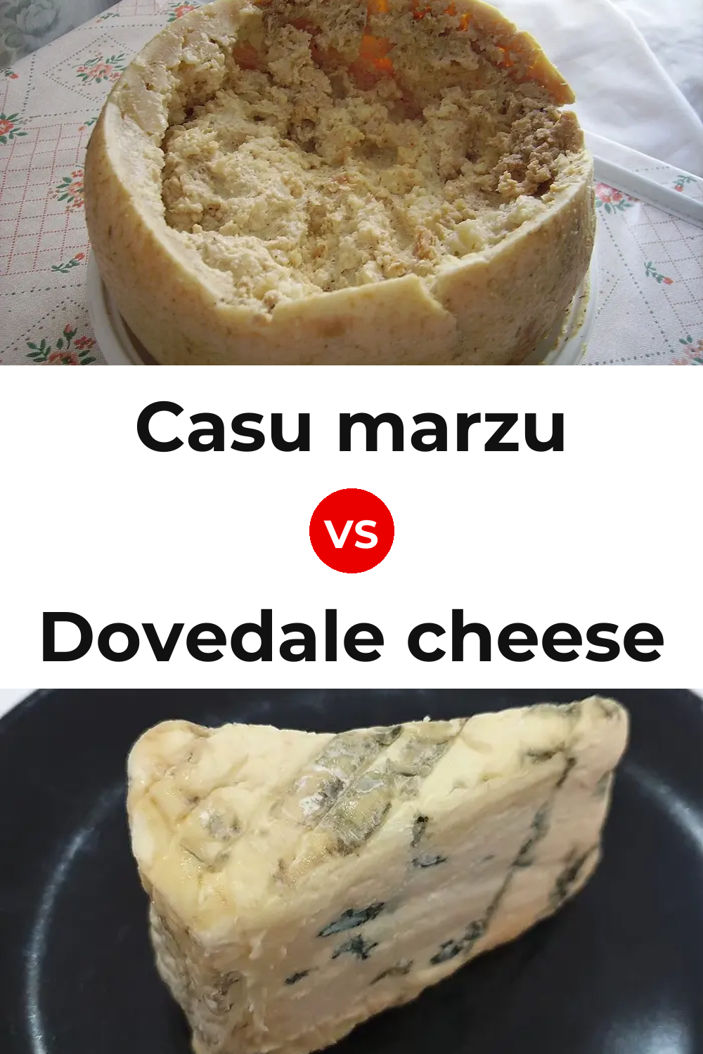 Casu marzu Cheese vs Dovedale cheese Pinterest comparison