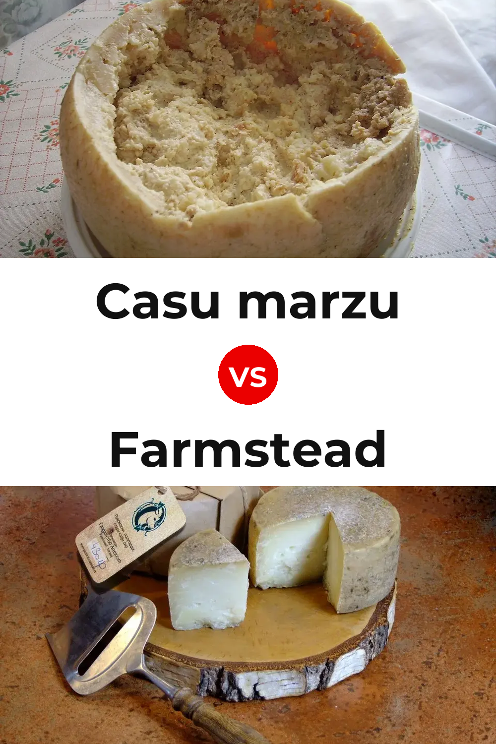Casu marzu Cheese vs Farmstead Cheese Pinterest comparison