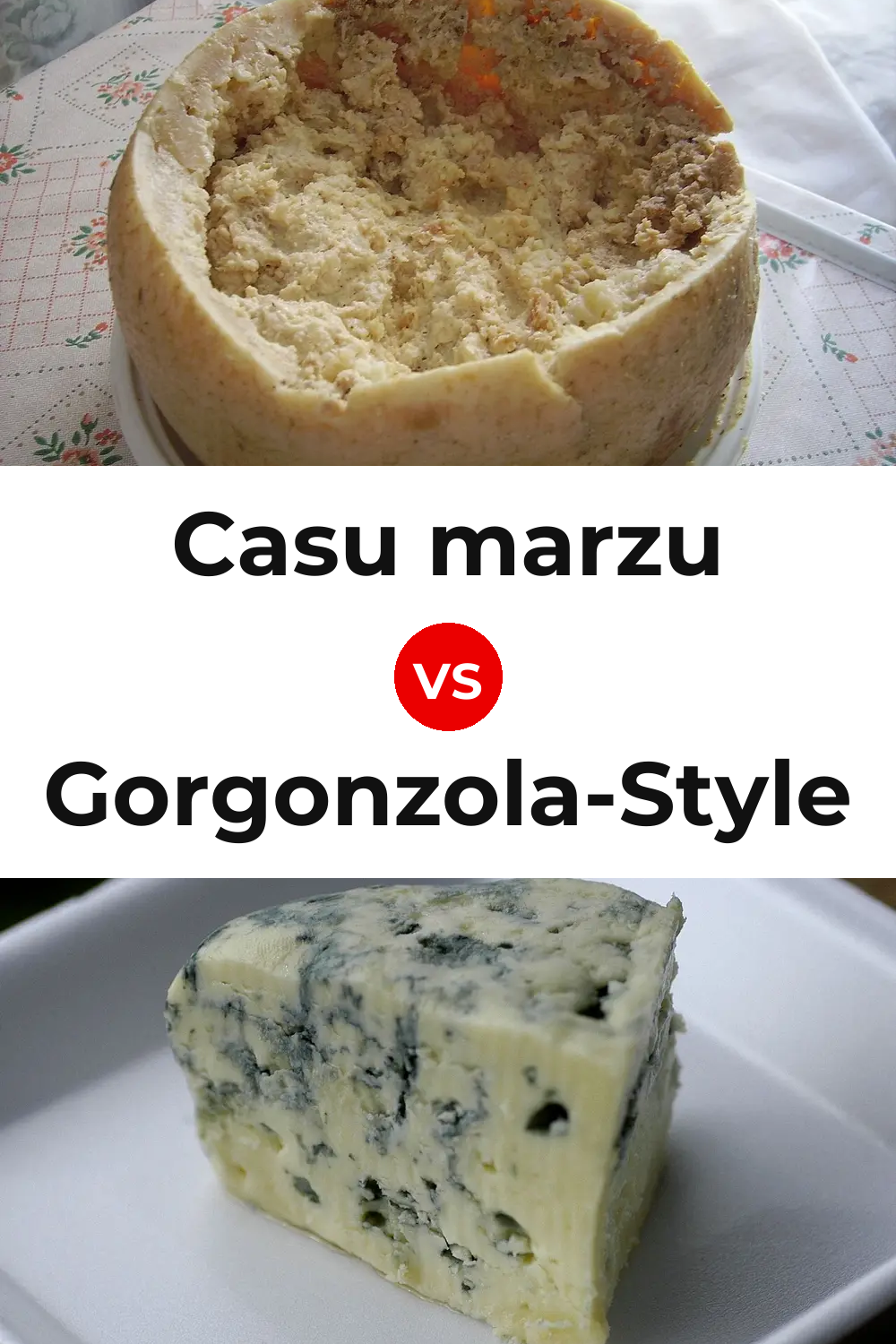 Casu marzu Cheese vs Gorgonzola-Style Cheese Pinterest comparison