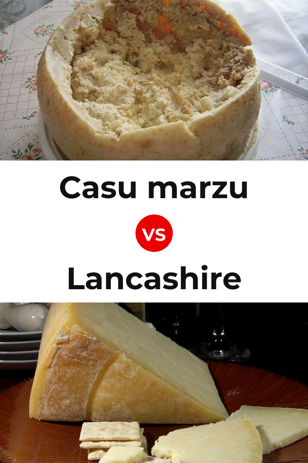 Casu marzu Cheese vs Lancashire Cheese Pinterest comparison