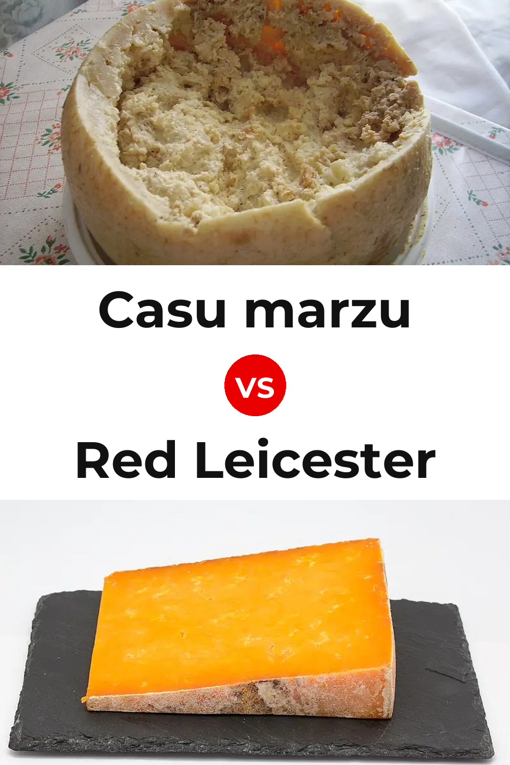 Casu marzu Cheese vs Red Leicester Cheese Pinterest comparison