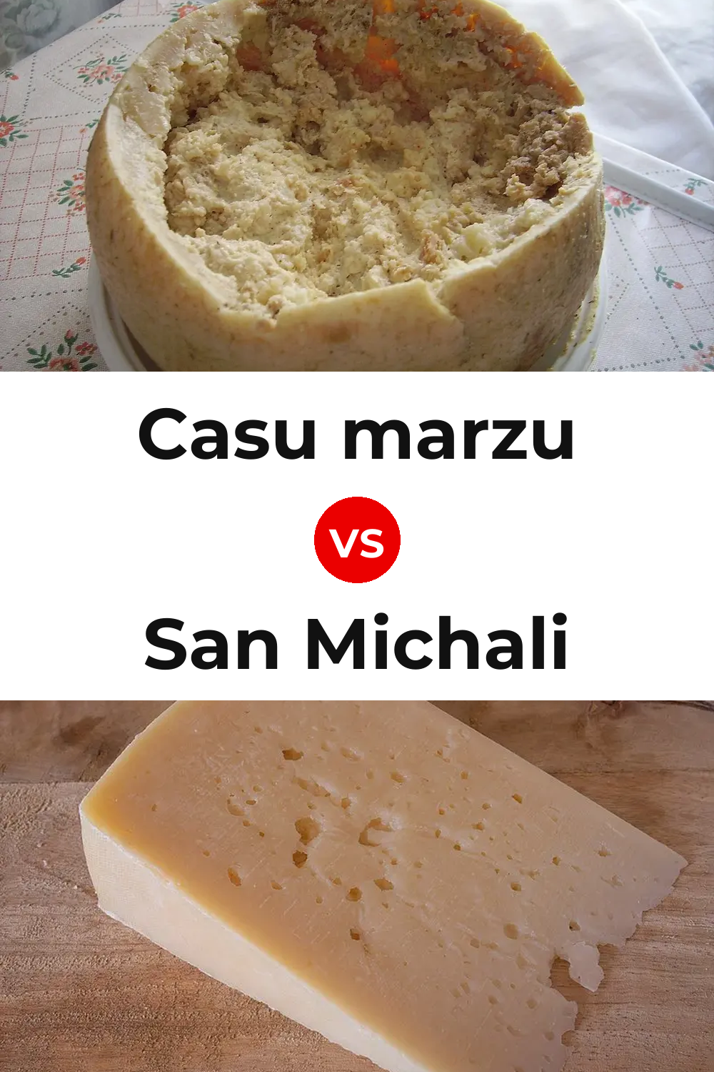 Casu marzu Cheese vs San Michali Cheese Pinterest comparison