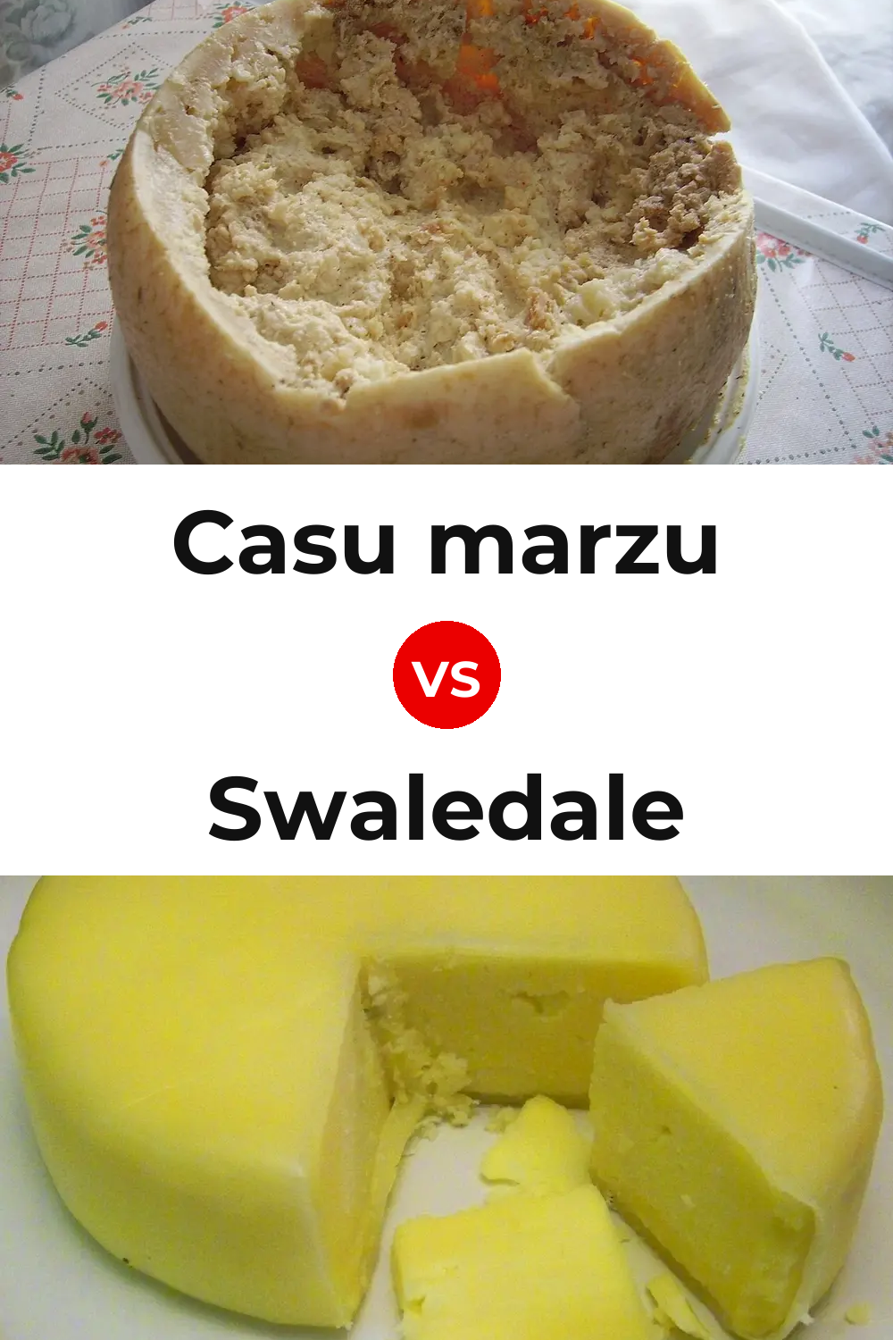 Casu marzu Cheese vs Swaledale Cheese Pinterest comparison