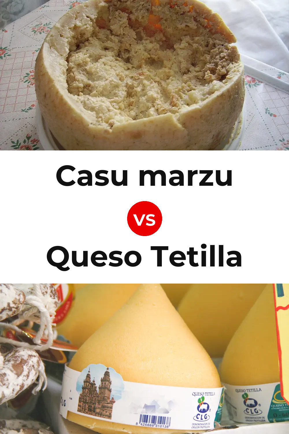 Casu marzu Cheese vs Queso Tetilla Pinterest comparison