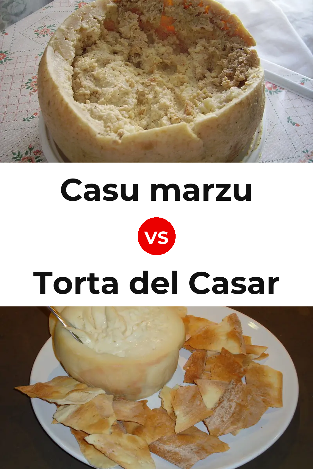 Casu marzu Cheese vs Torta del Casar Cheese Pinterest comparison