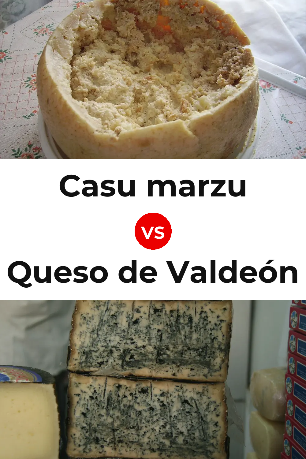 Casu marzu Cheese vs Queso de Valdeón Pinterest comparison
