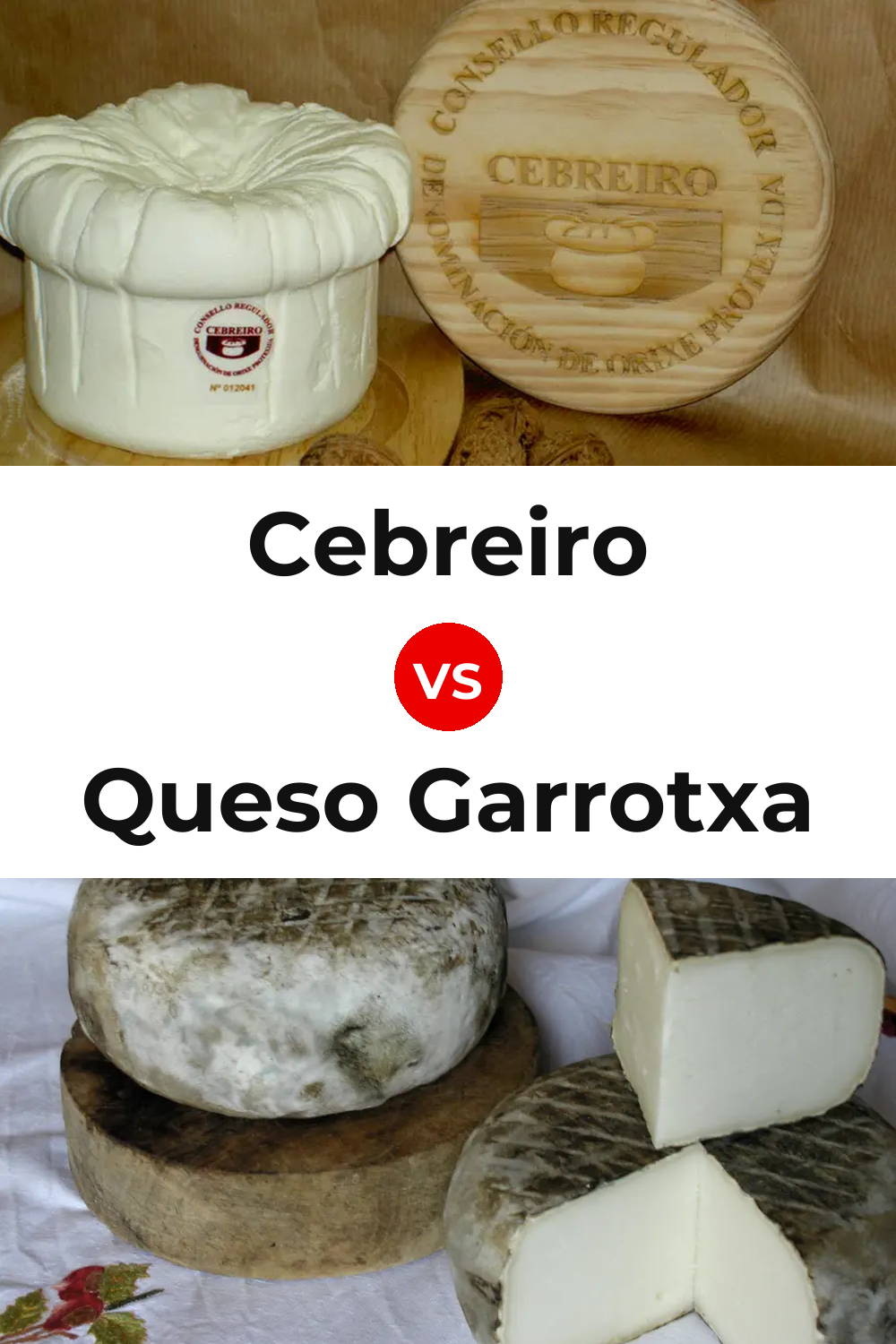 Cebreiro Cheese vs Queso Garrotxa Pinterest comparison