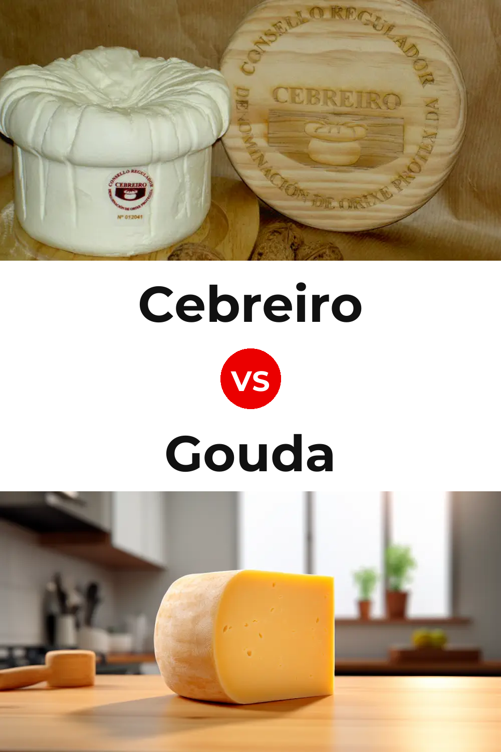 Cebreiro Cheese vs Gouda Cheese Pinterest comparison