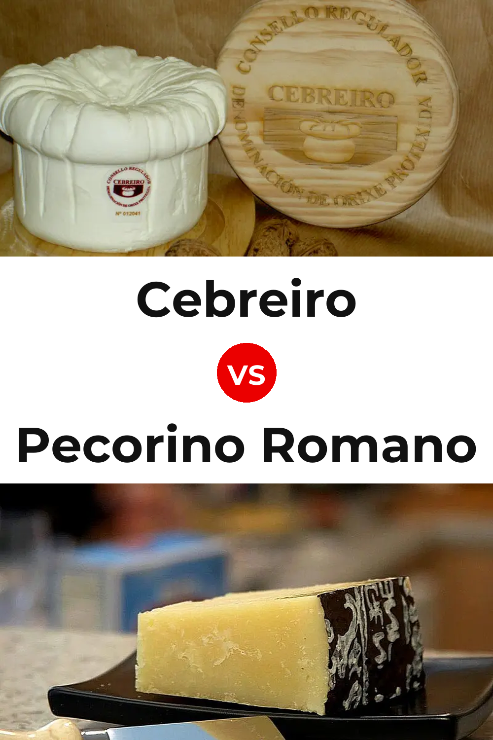 Cebreiro Cheese vs Pecorino Romano Cheese Pinterest comparison