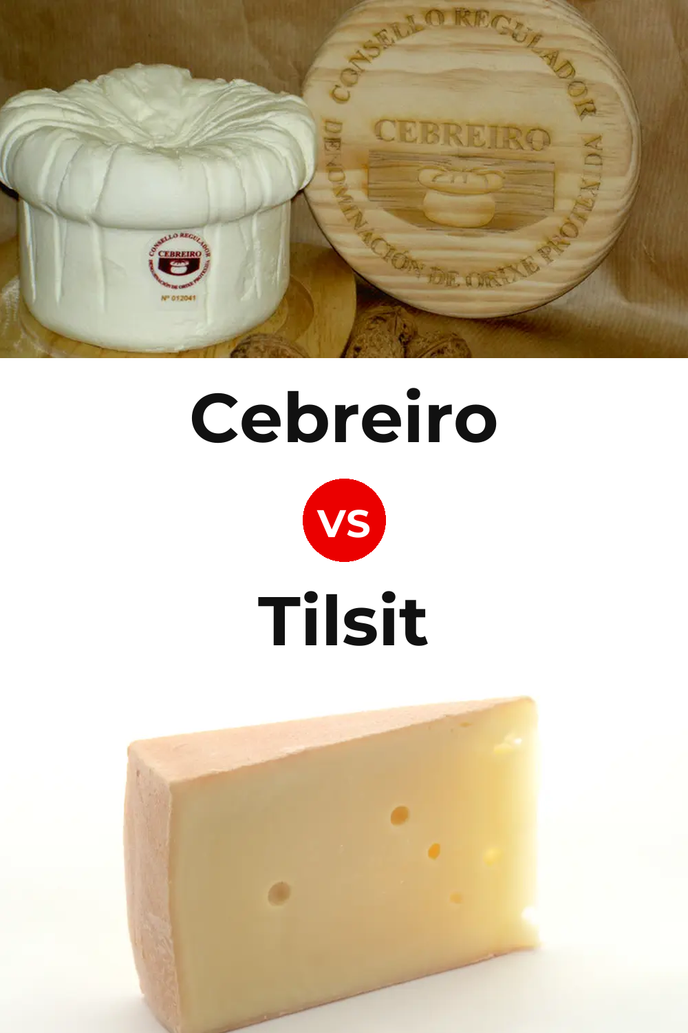 Cebreiro Cheese vs Tilsit Cheese Pinterest comparison