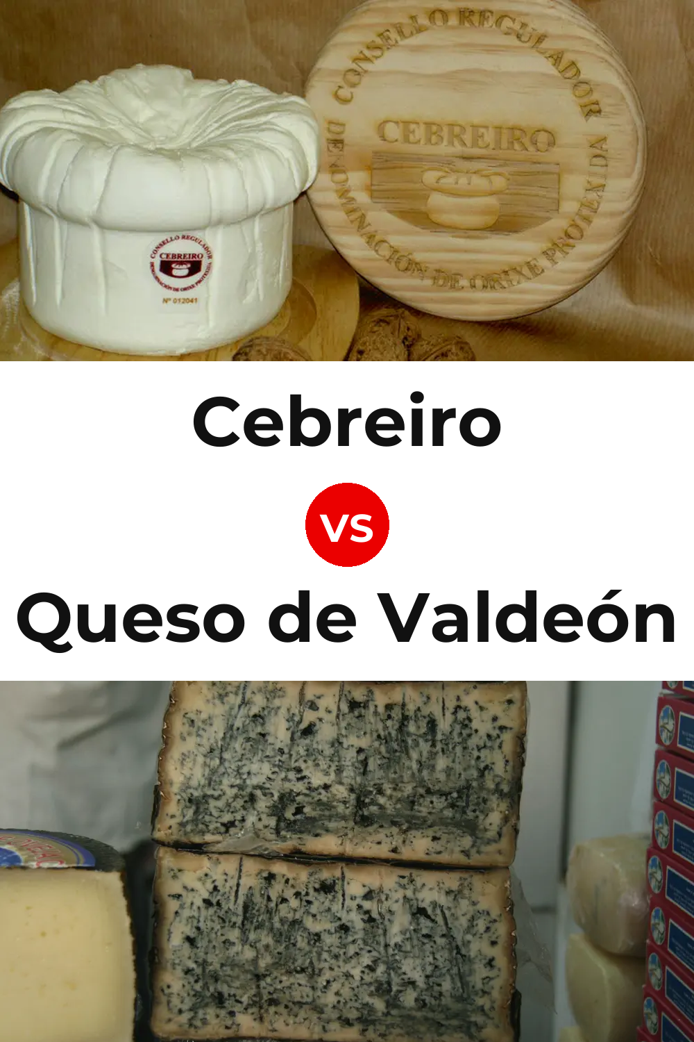 Cebreiro Cheese vs Queso de Valdeón Pinterest comparison