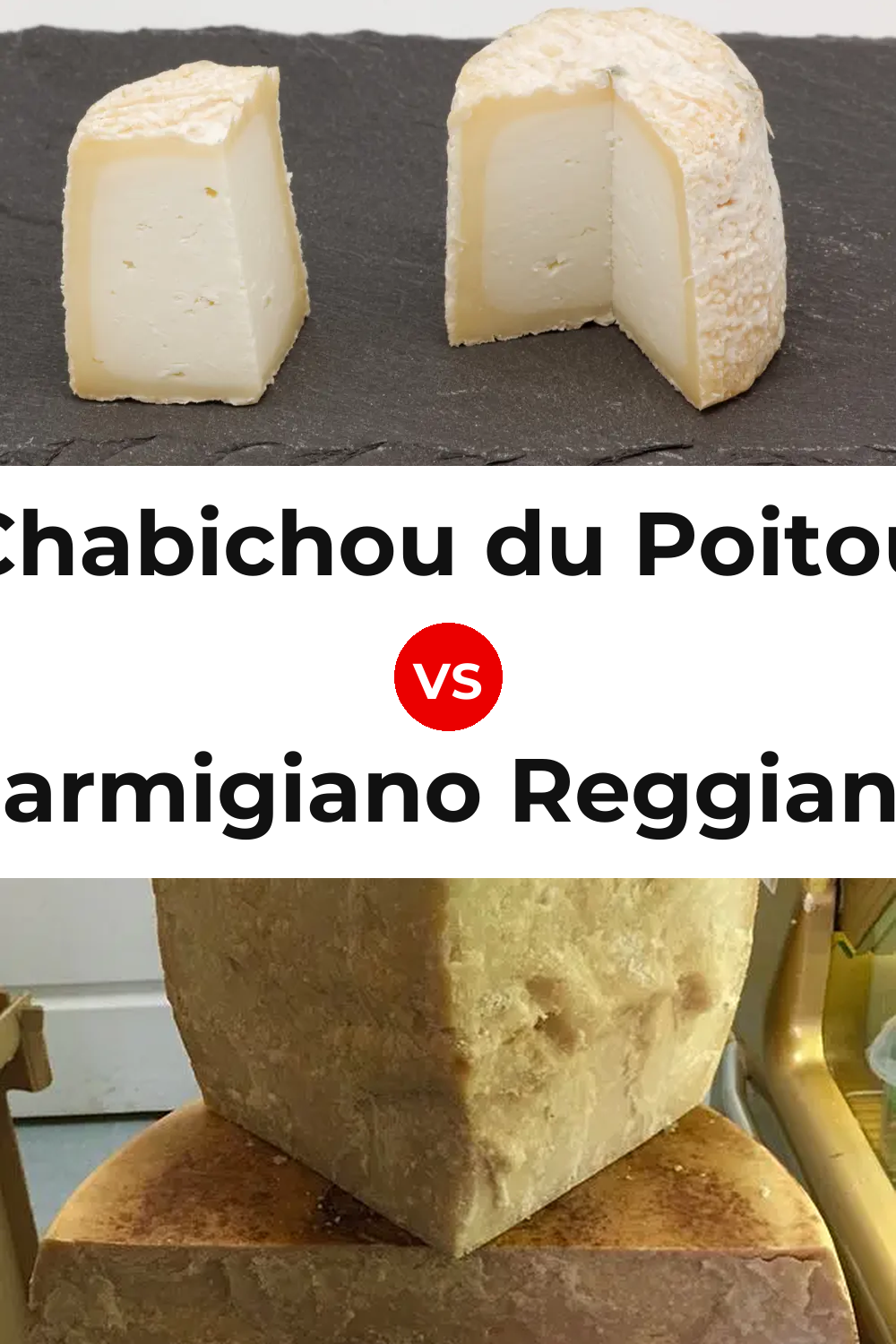Chabichou du Poitou Cheese vs Parmigiano Reggiano Cheese Pinterest comparison