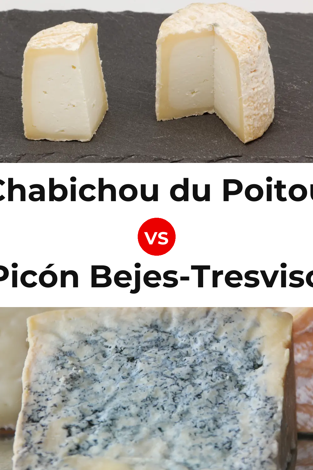 Chabichou du Poitou Cheese vs Picón Bejes-Tresviso Cheese Pinterest comparison
