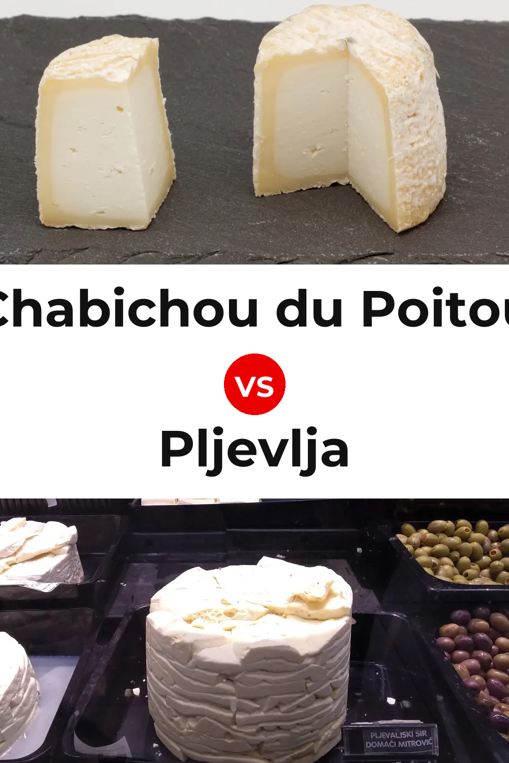 Chabichou du Poitou Cheese vs Pljevlja Cheese Pinterest comparison