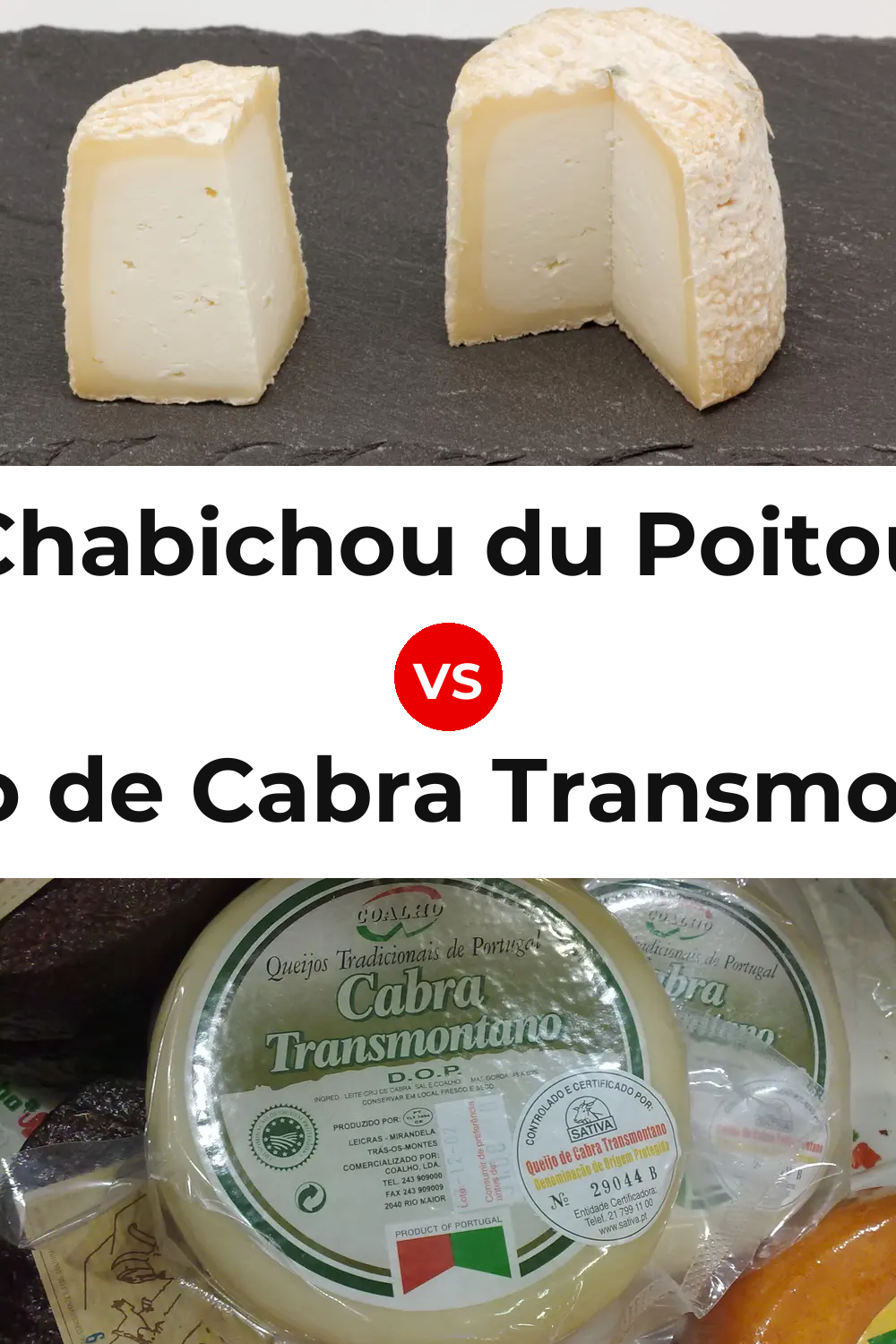 Chabichou du Poitou Cheese vs Queijo de Cabra Transmontano Pinterest comparison