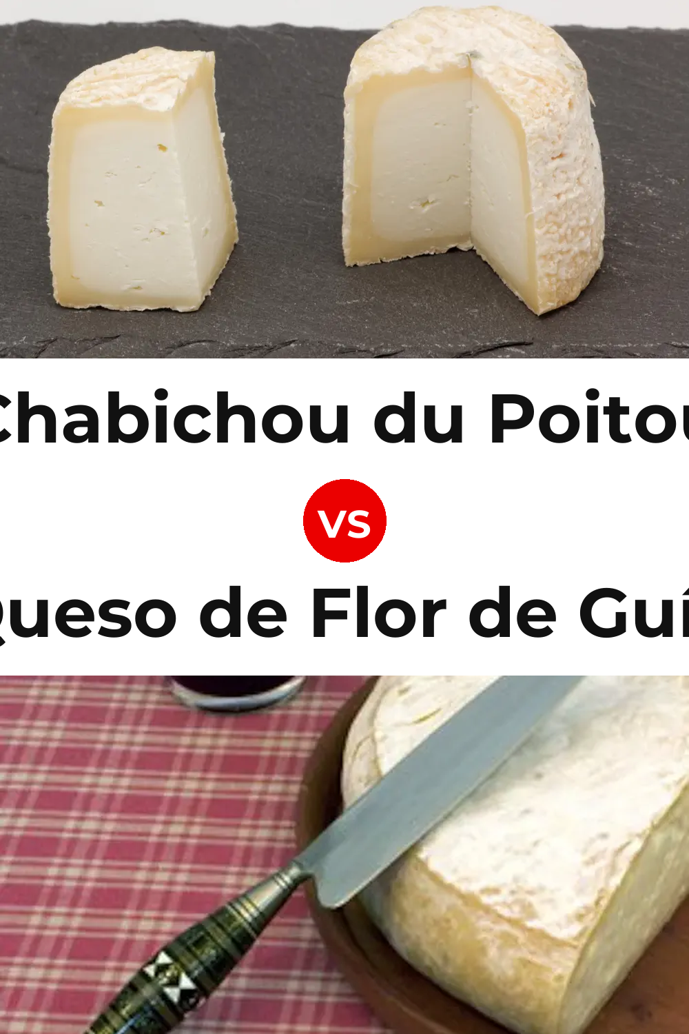 Chabichou du Poitou Cheese vs Queso de Flor de Guía Pinterest comparison