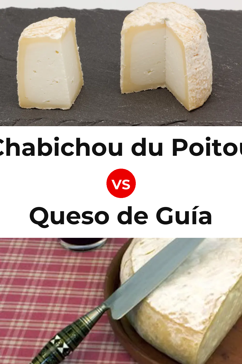 Chabichou du Poitou Cheese vs Queso de Guía Pinterest comparison