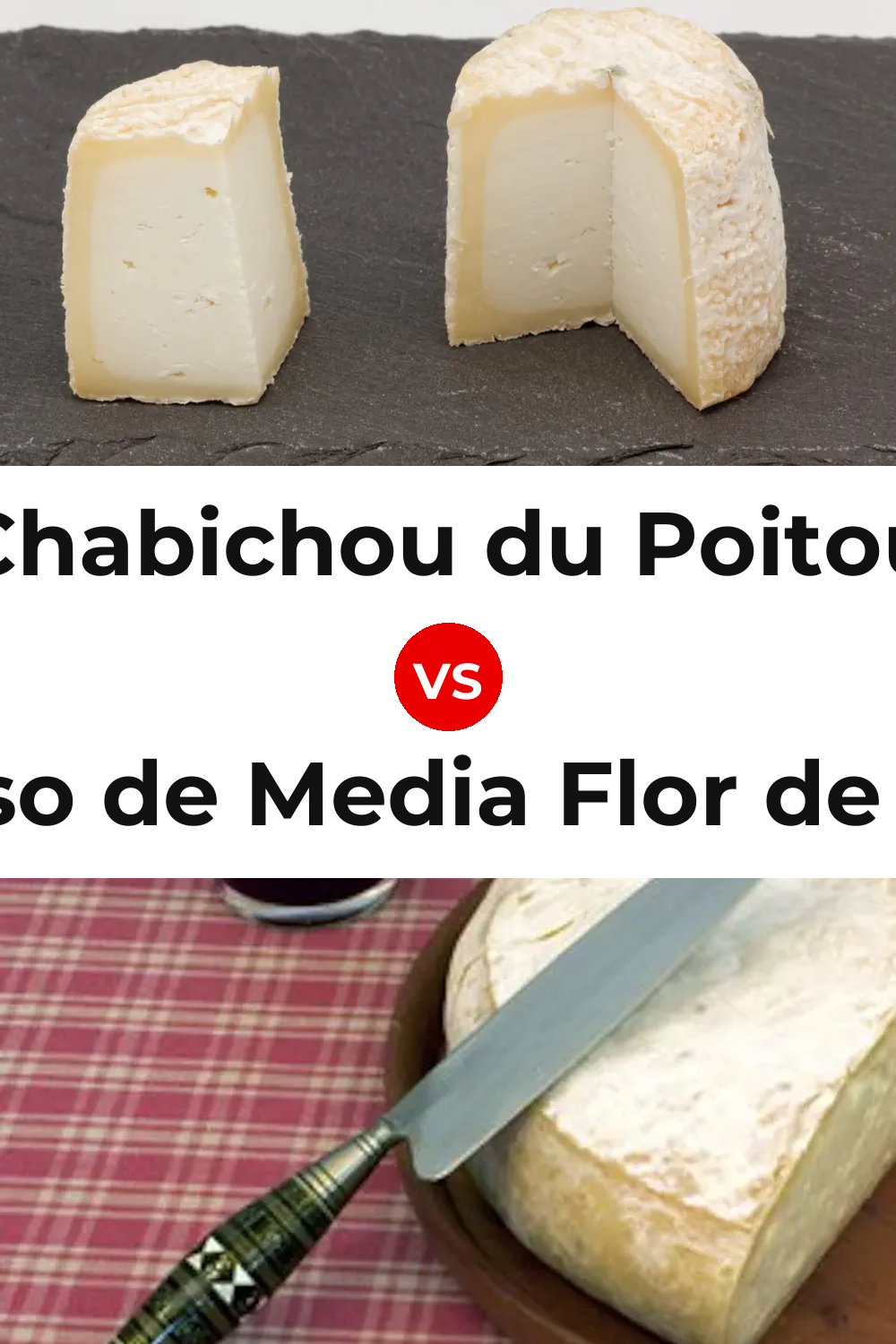 Chabichou du Poitou Cheese vs Queso de Media Flor de Guía Pinterest comparison
