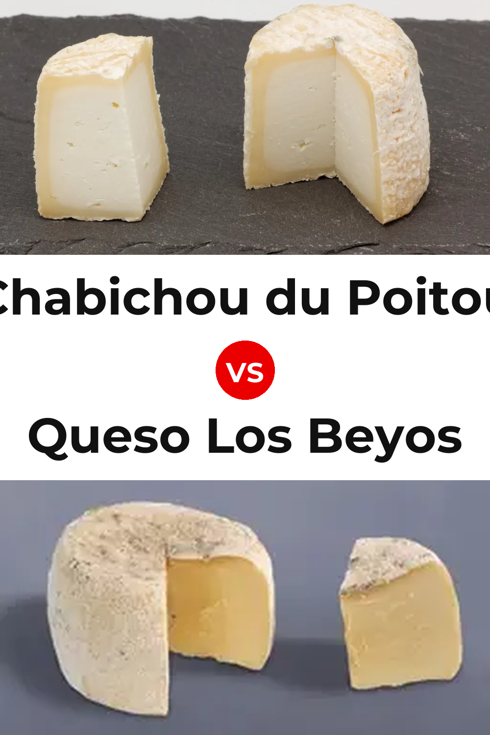 Chabichou du Poitou Cheese vs Queso Los Beyos Pinterest comparison