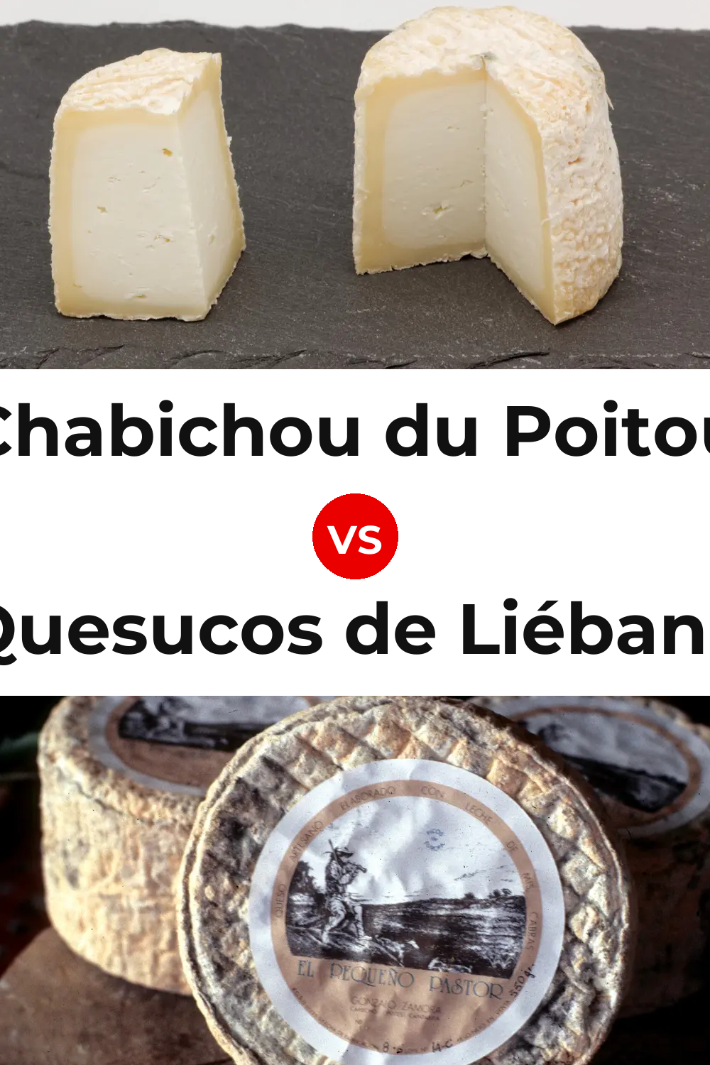 Chabichou du Poitou Cheese vs Quesucos de Liébana Cheese Pinterest comparison