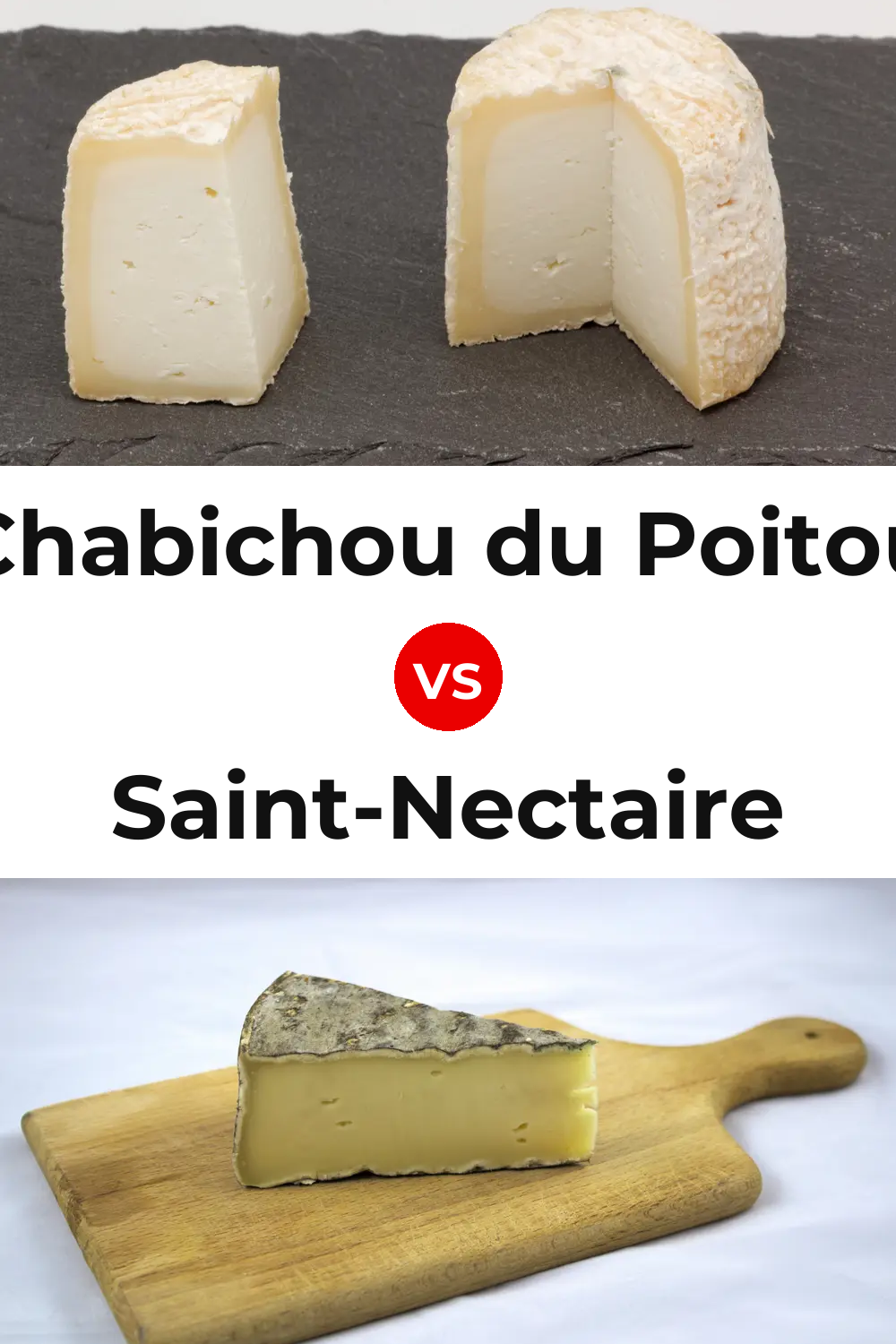 Chabichou du Poitou Cheese vs Saint-Nectaire Cheese Pinterest comparison
