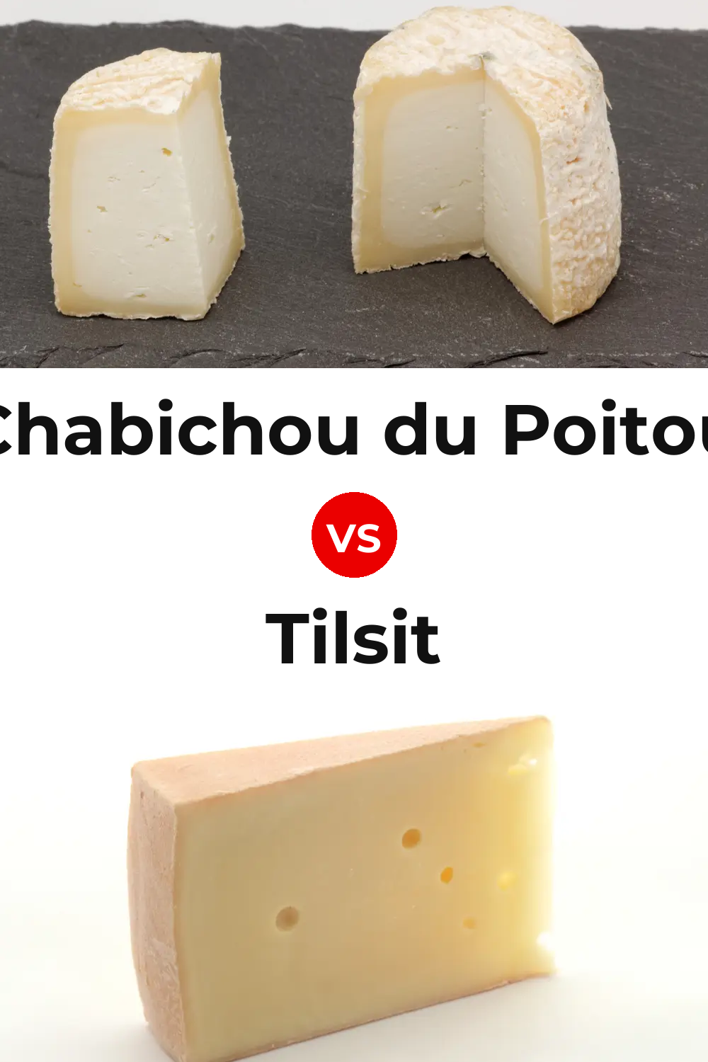 Chabichou du Poitou Cheese vs Tilsit Cheese Pinterest comparison
