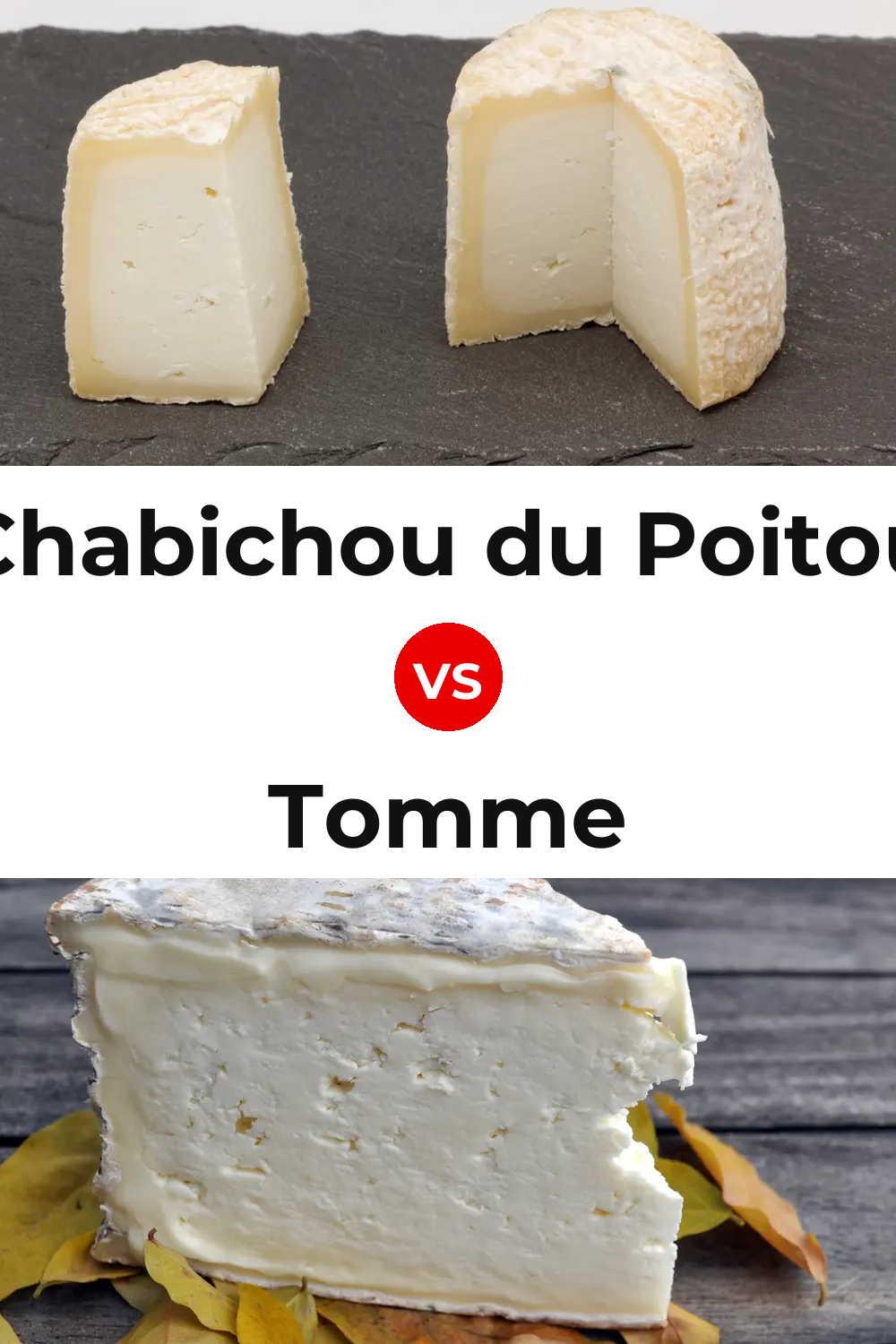 Chabichou du Poitou Cheese vs Tomme Cheese Pinterest comparison