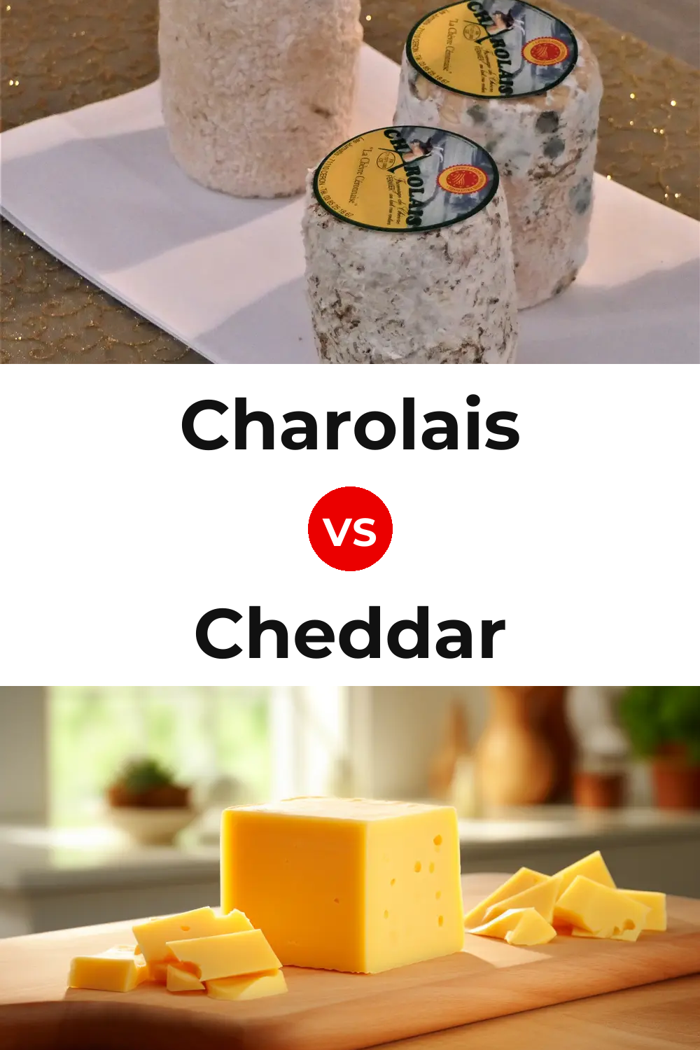 Charolais Cheese vs Cheddar Cheese Pinterest comparison