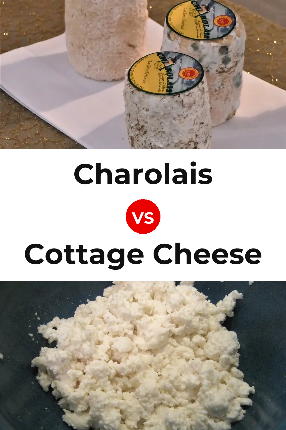 Charolais Cheese vs Cottage Cheese Pinterest comparison