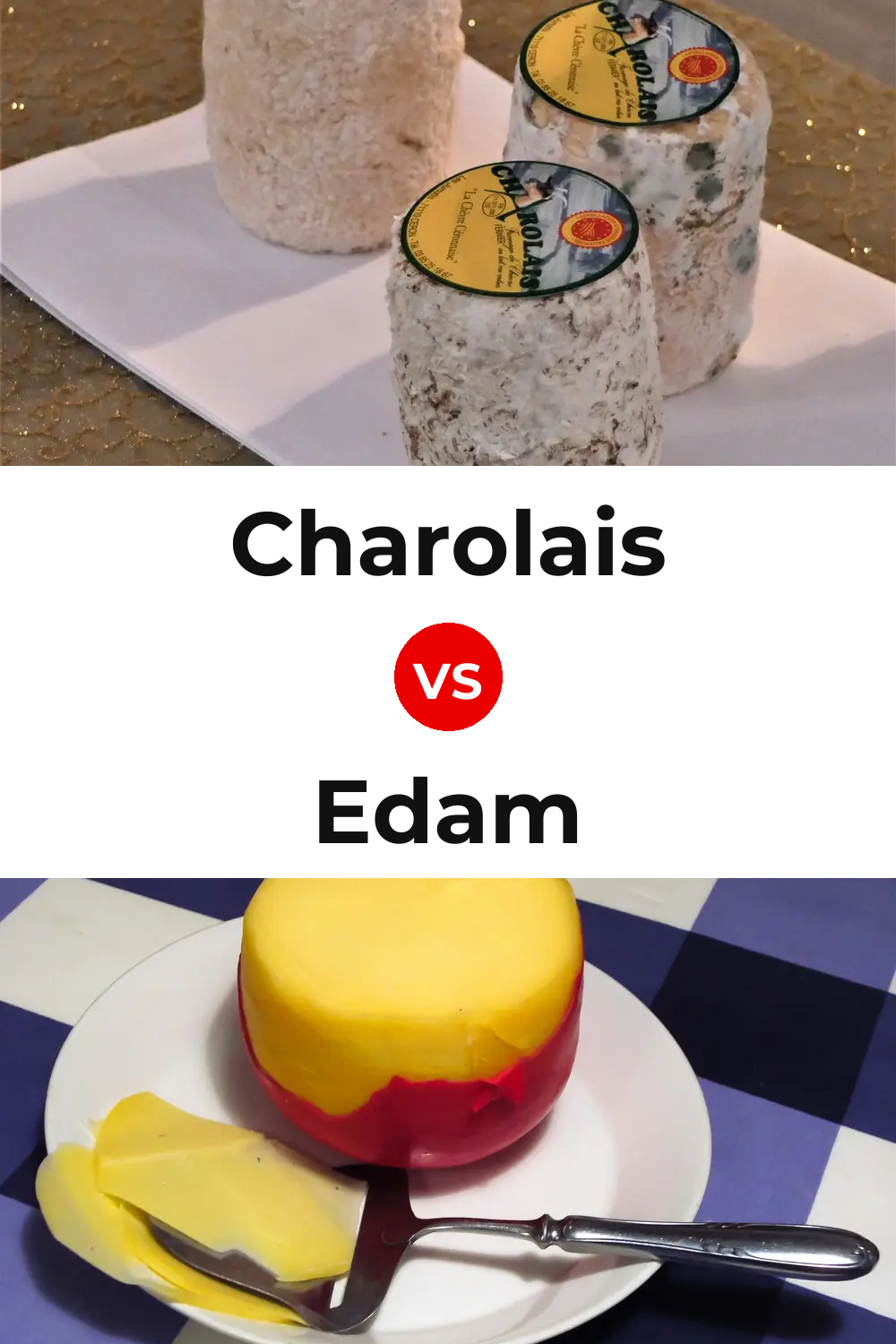 Charolais Cheese vs Edam Cheese Pinterest comparison