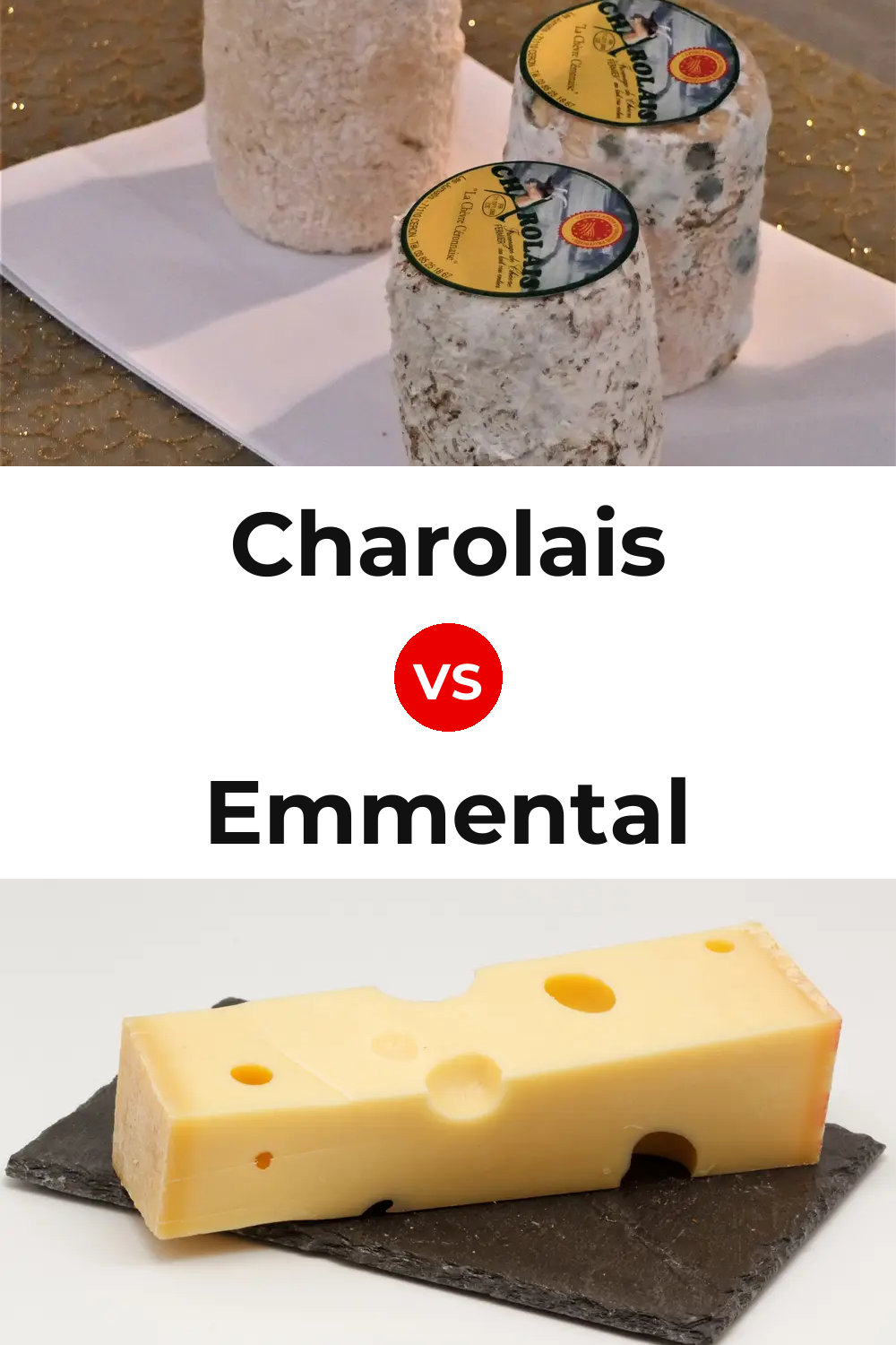 Charolais Cheese vs Emmental Cheese Pinterest comparison