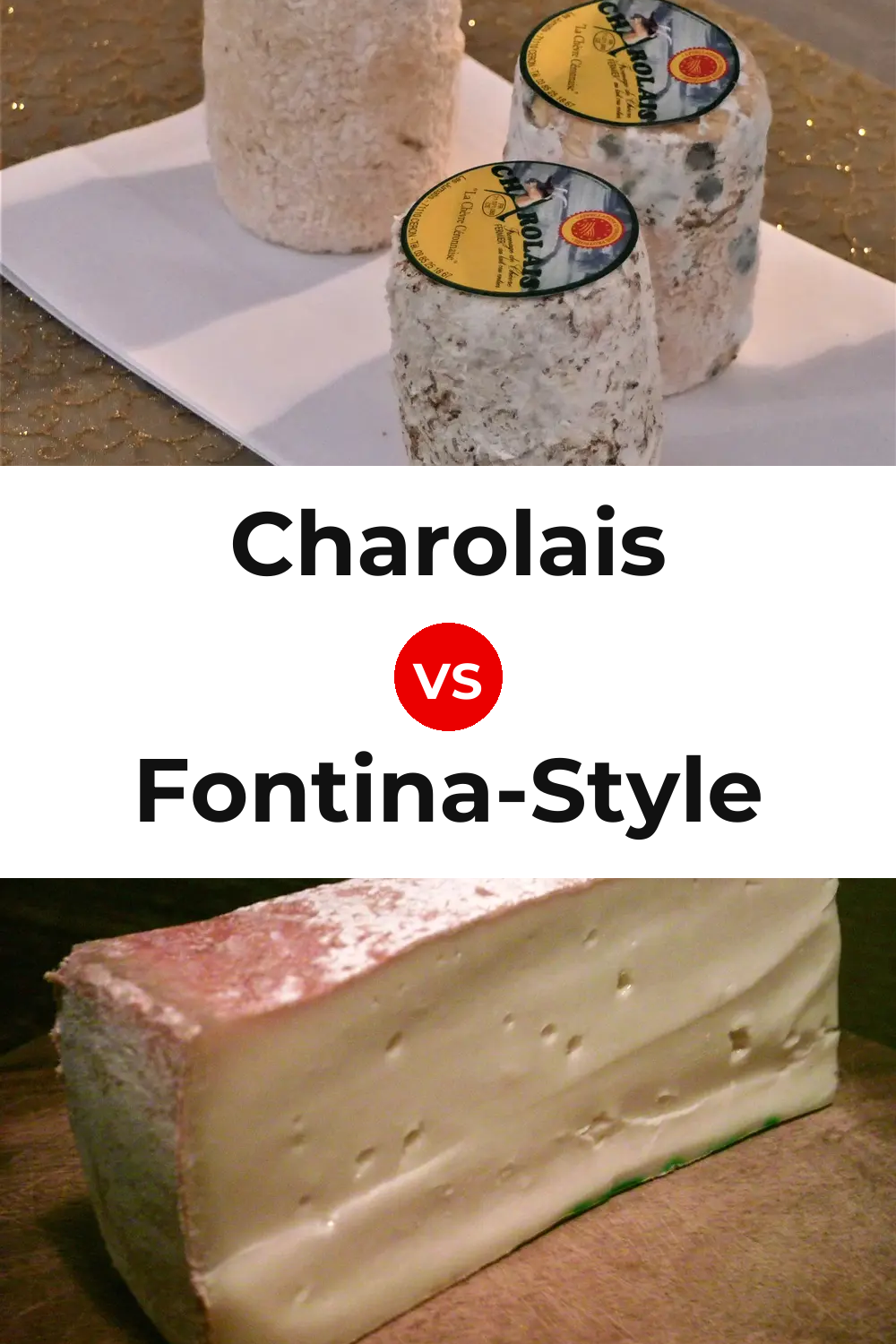 Charolais Cheese vs Fontina-Style Cheese Pinterest comparison