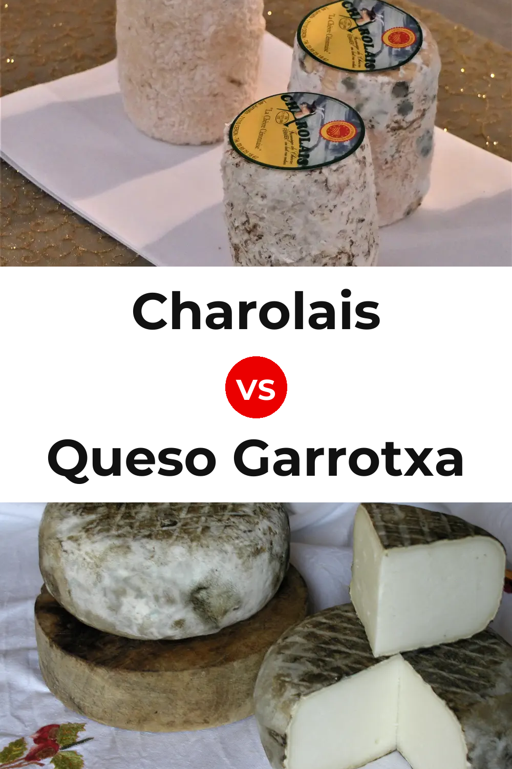 Charolais Cheese vs Queso Garrotxa Pinterest comparison
