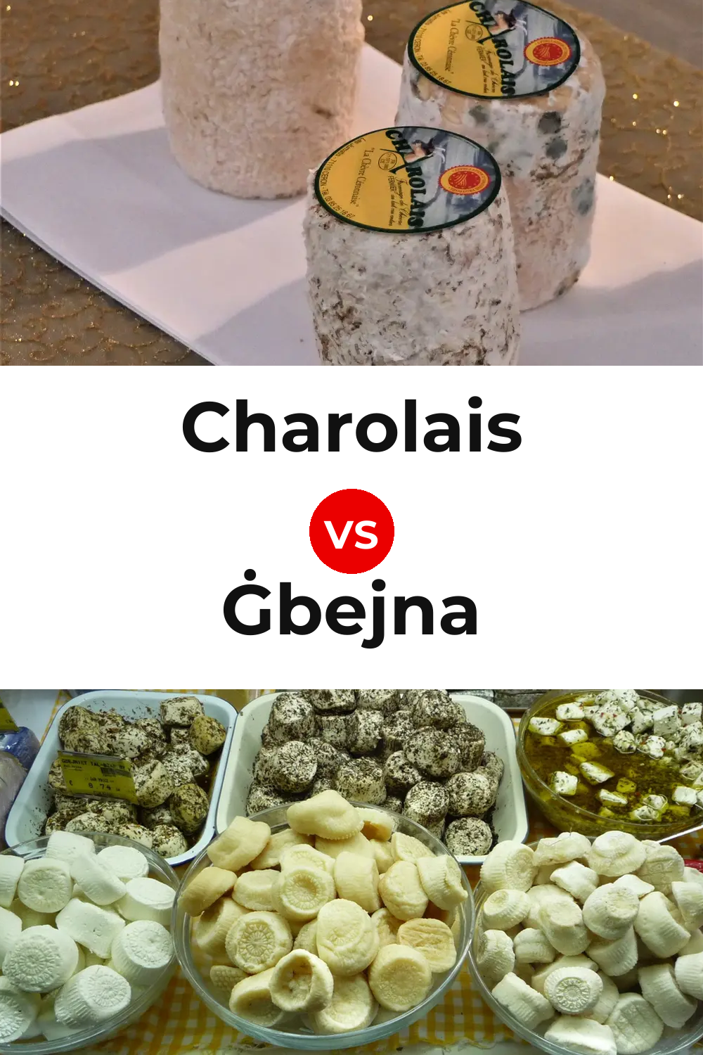 Charolais Cheese vs Ġbejna Cheese Pinterest comparison