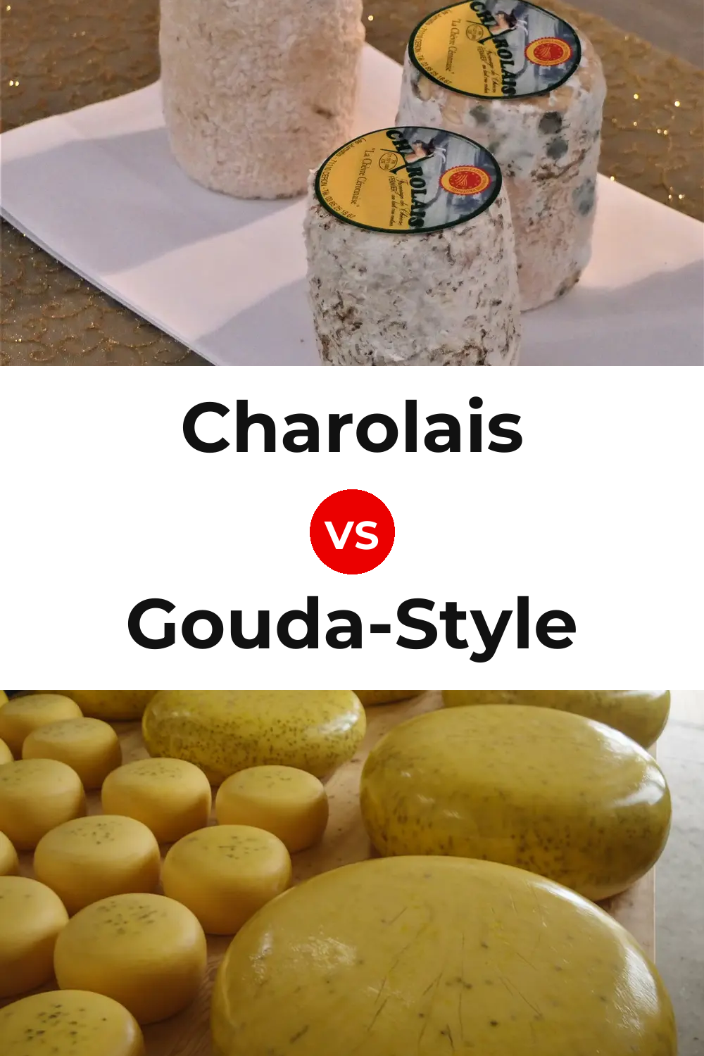Charolais Cheese vs Gouda-Style Cheese Pinterest comparison