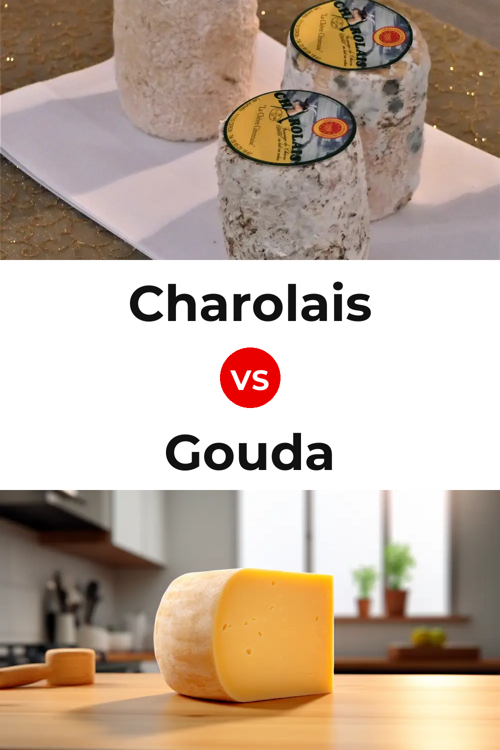 Charolais Cheese vs Gouda Cheese Pinterest comparison