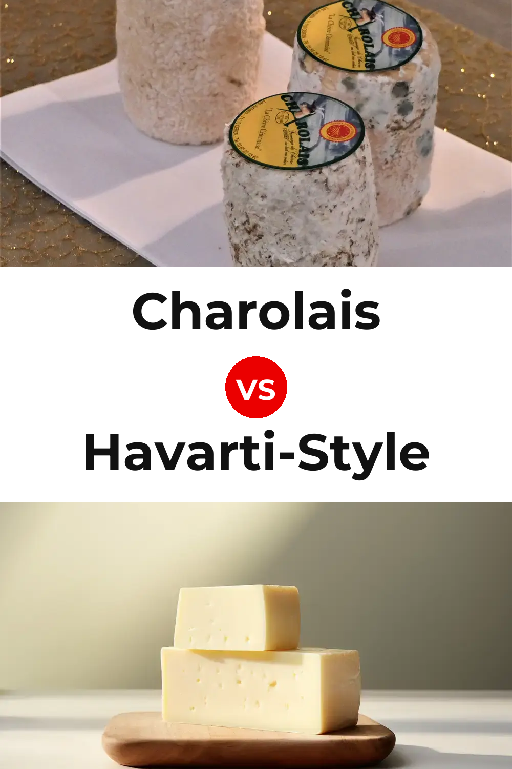 Charolais Cheese vs Havarti-Style Cheese Pinterest comparison