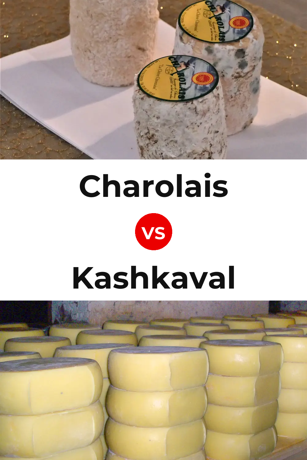 Charolais Cheese vs Kashkaval Cheese Pinterest comparison