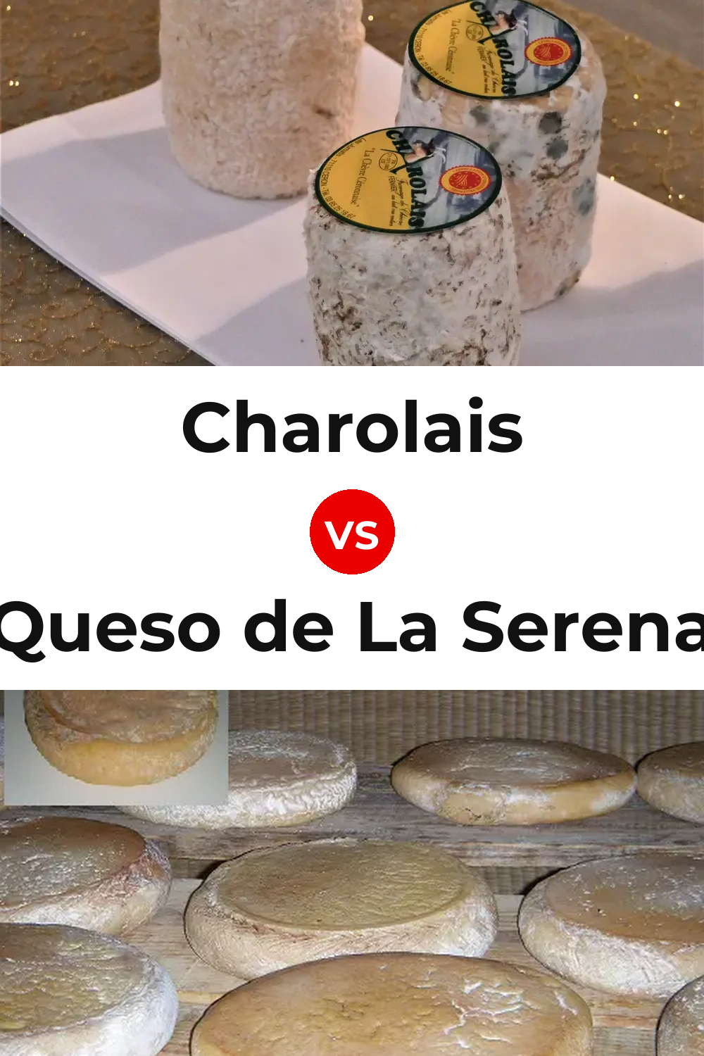 Charolais Cheese vs Queso de La Serena Pinterest comparison
