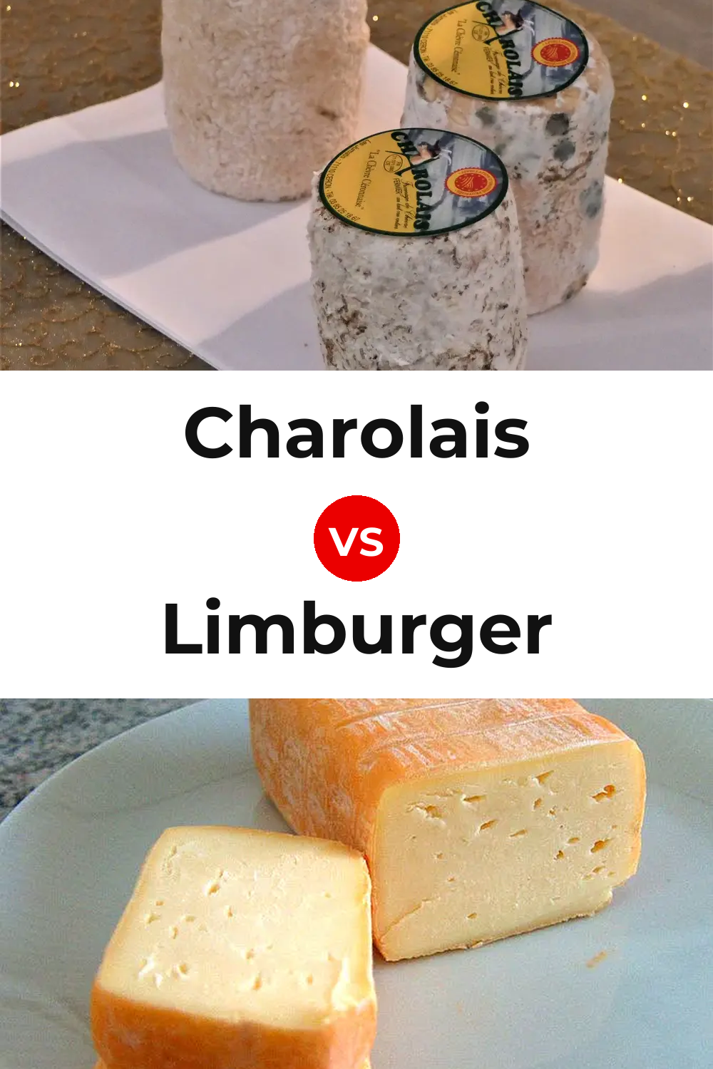 Charolais Cheese vs Limburger Cheese Pinterest comparison