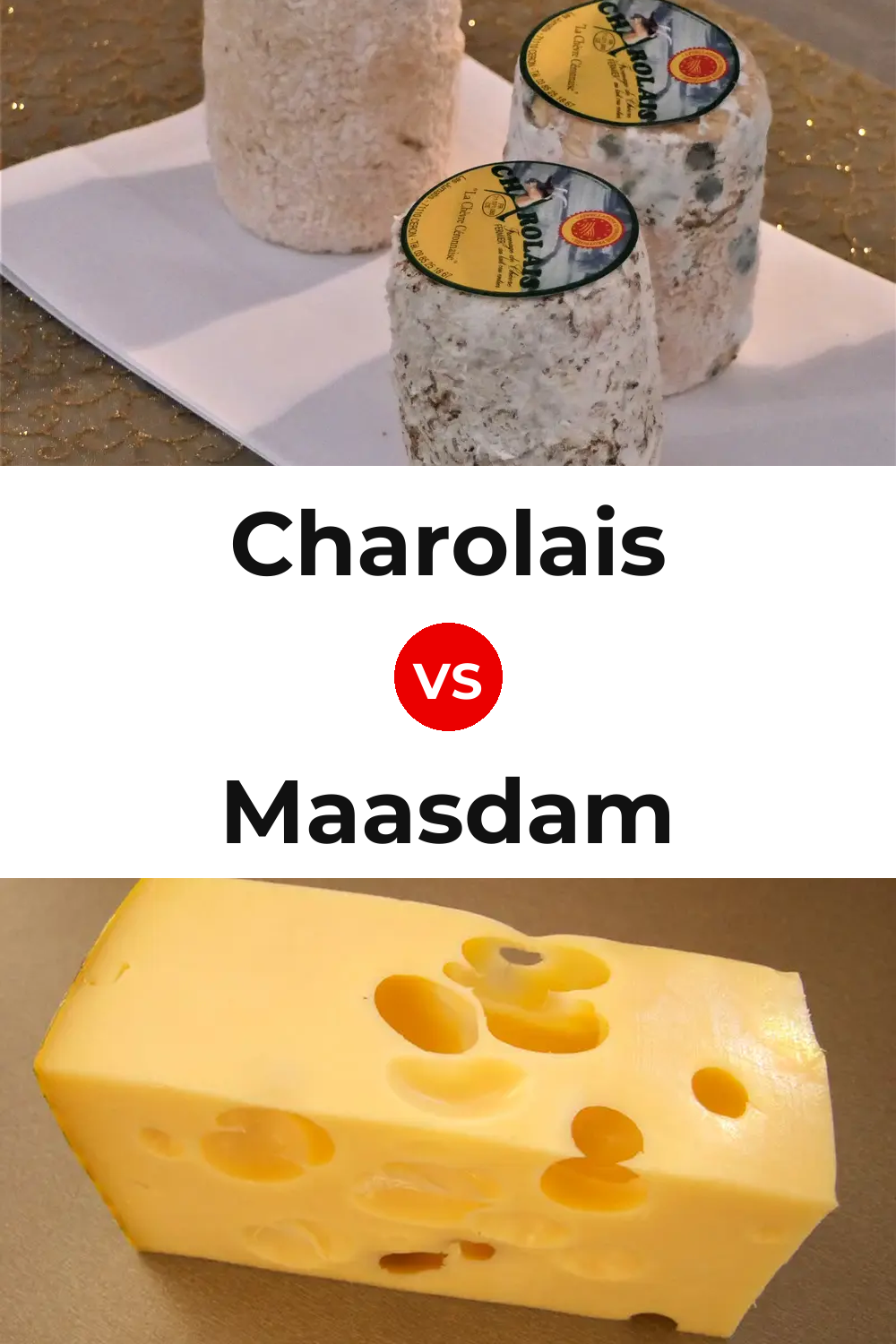 Charolais Cheese vs Maasdam Cheese Pinterest comparison