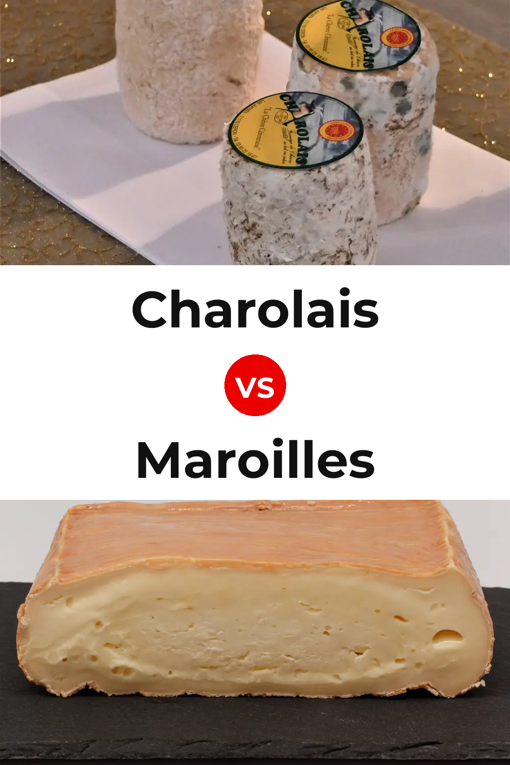 Charolais Cheese vs Maroilles Cheese Pinterest comparison