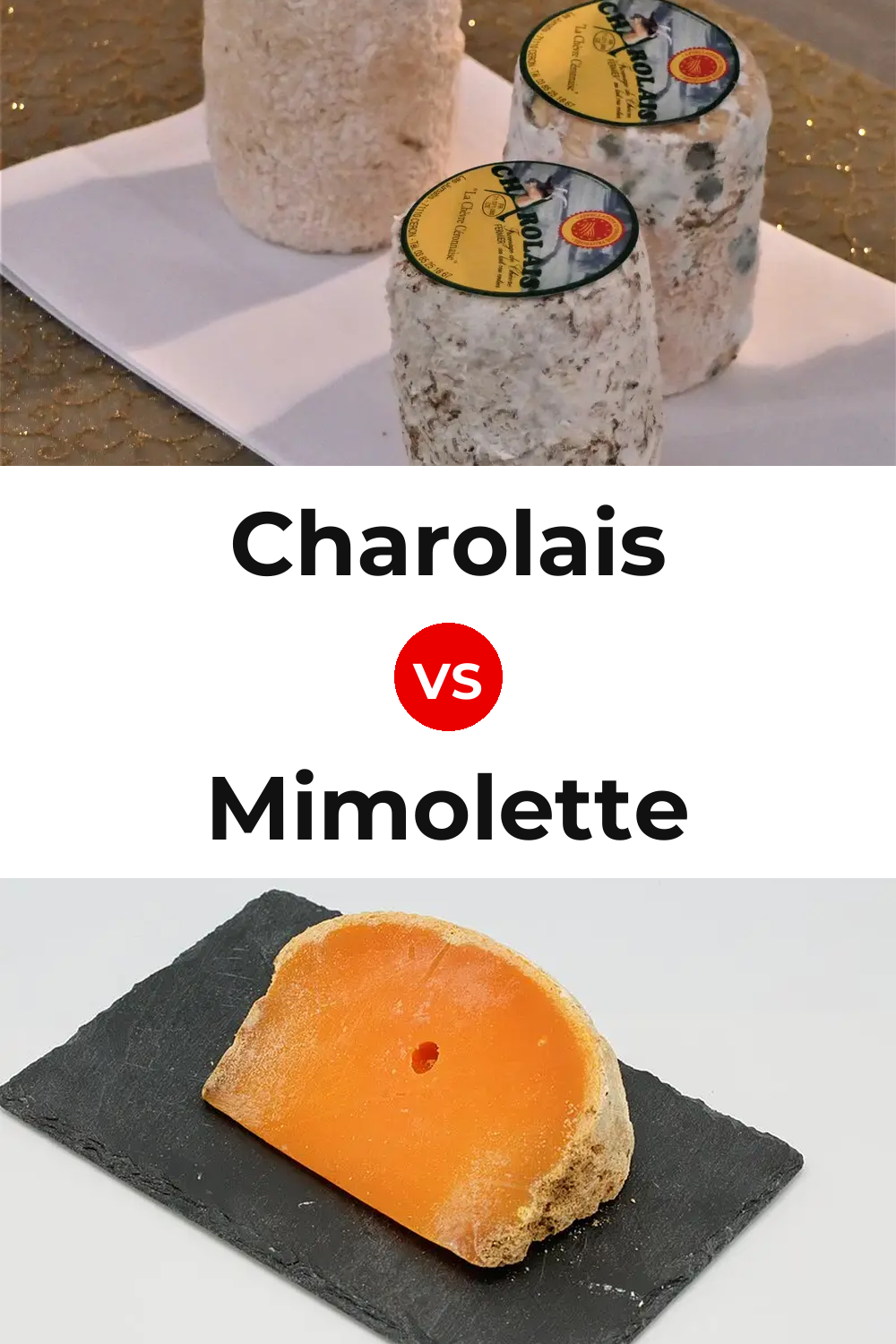 Charolais Cheese vs Mimolette Cheese Pinterest comparison
