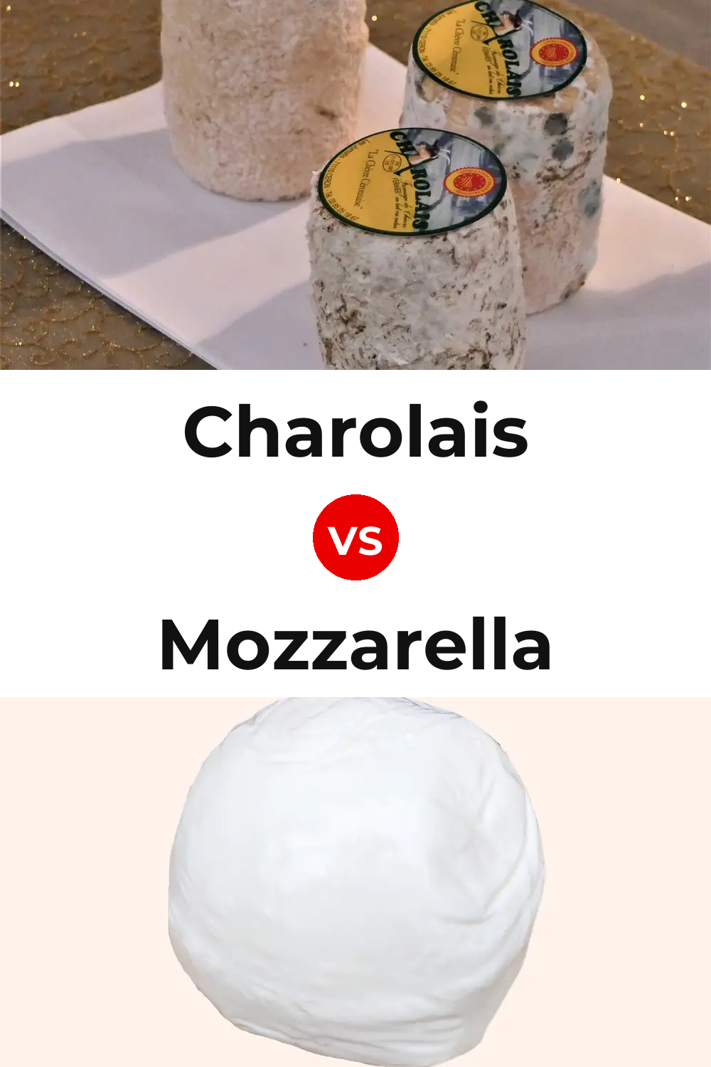 Charolais Cheese vs Mozzarella Cheese Pinterest comparison