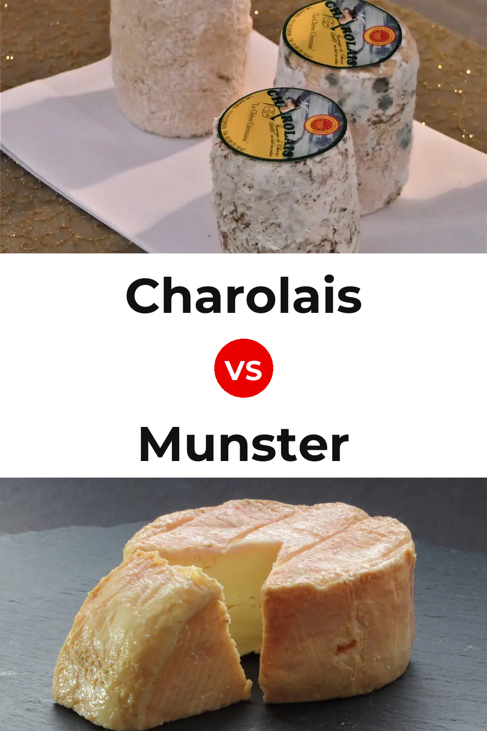 Charolais Cheese vs Munster Cheese Pinterest comparison