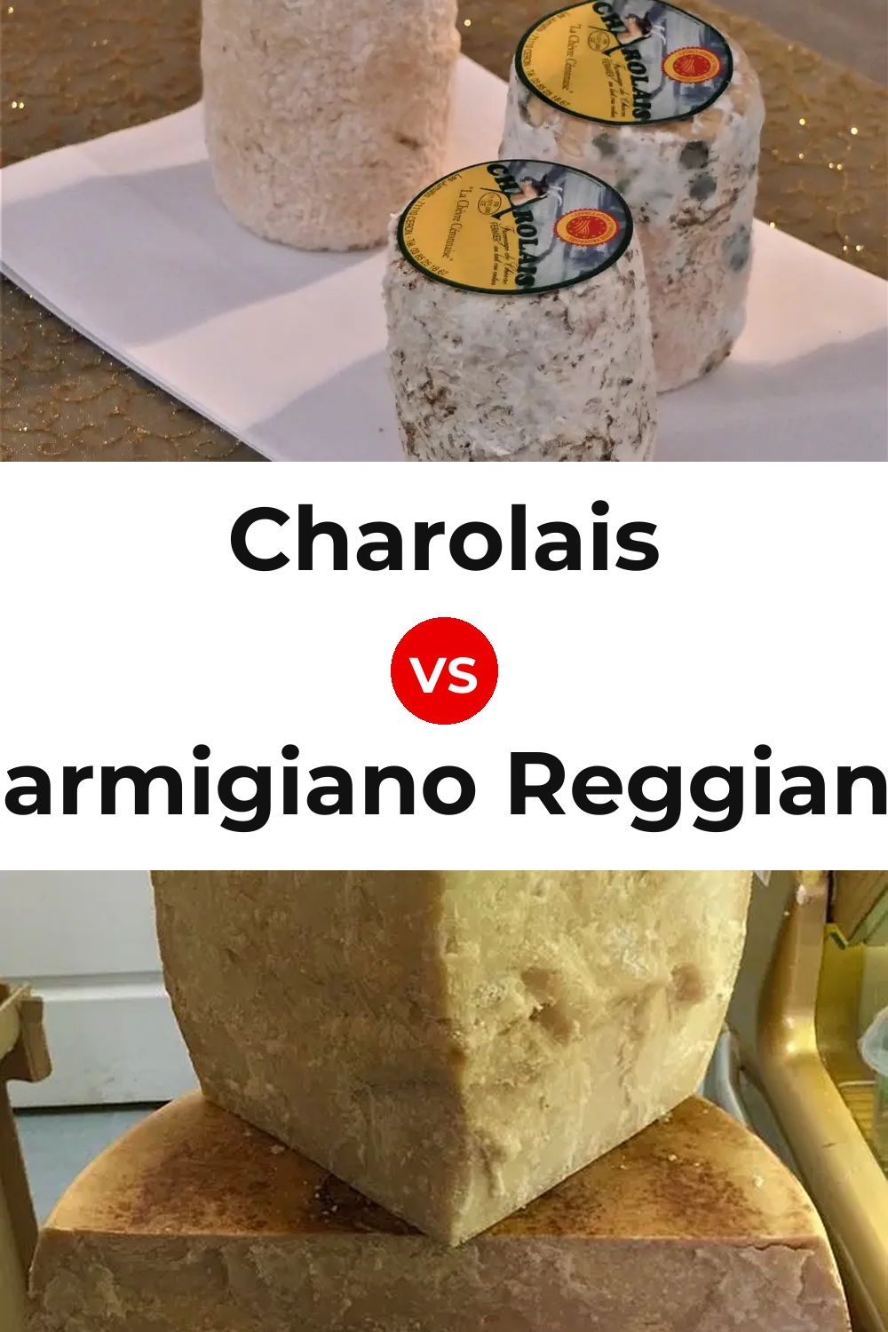 Charolais Cheese vs Parmigiano Reggiano Cheese Pinterest comparison