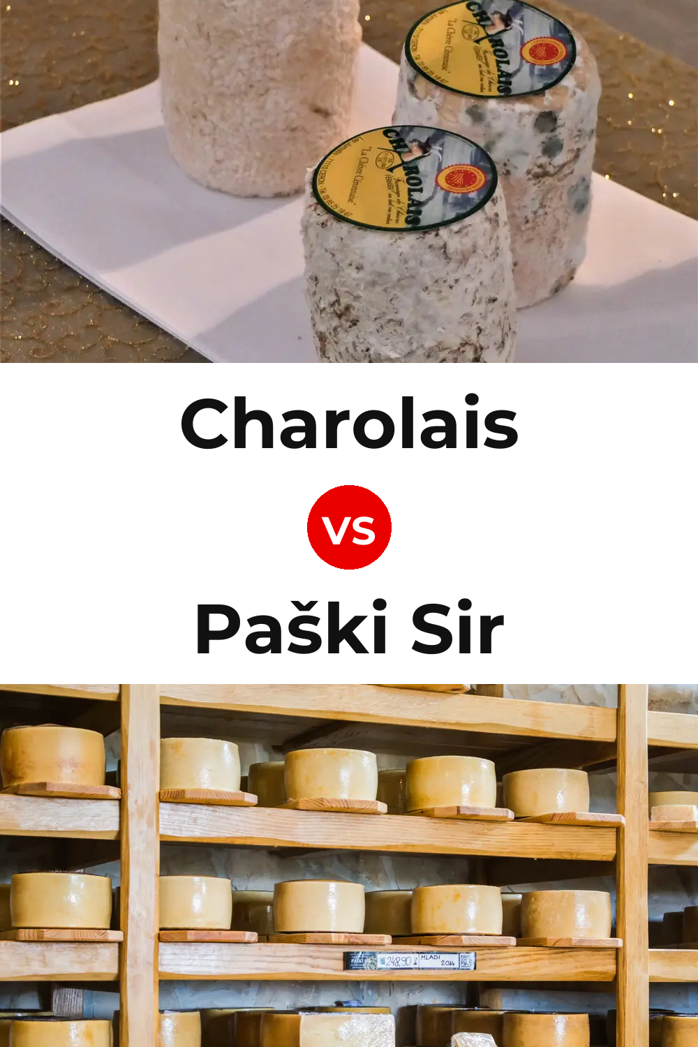 Charolais Cheese vs Paški Sir Cheese Pinterest comparison
