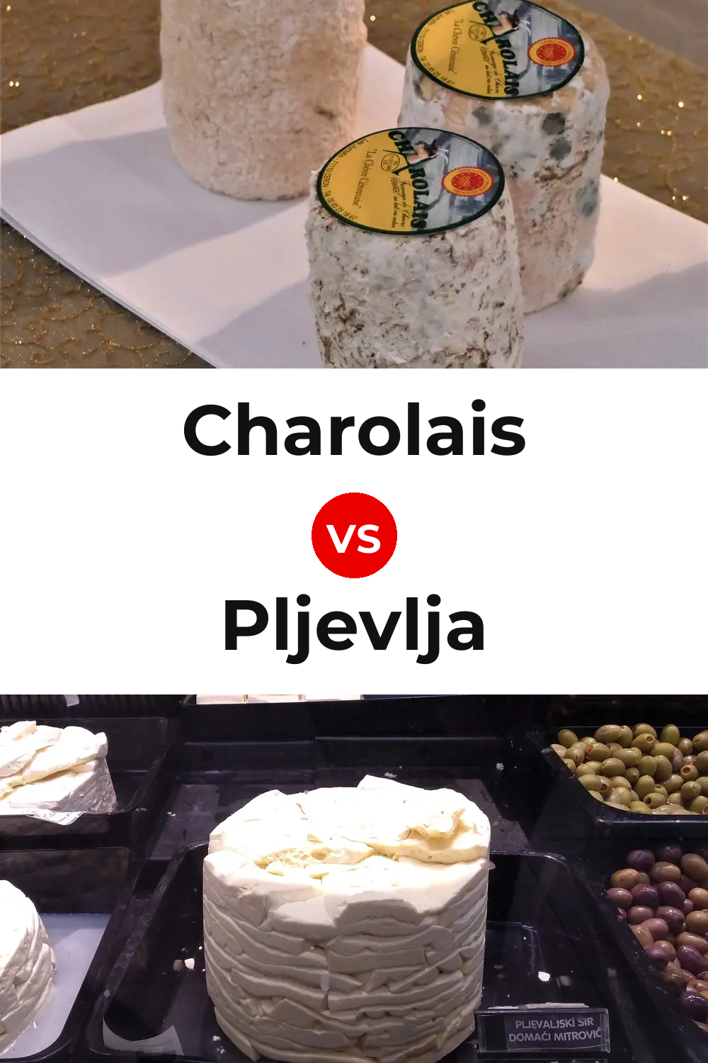 Charolais Cheese vs Pljevlja Cheese Pinterest comparison